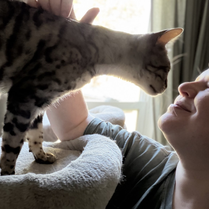 Julie's Purrfessional Cat Care