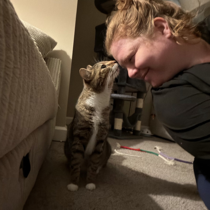 Julie's Purrfessional Cat Care