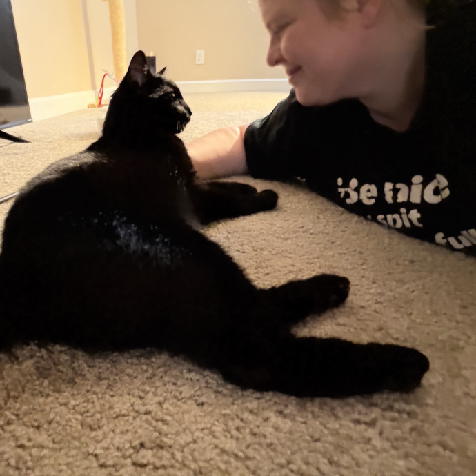 Julie's Purrfessional Cat Care