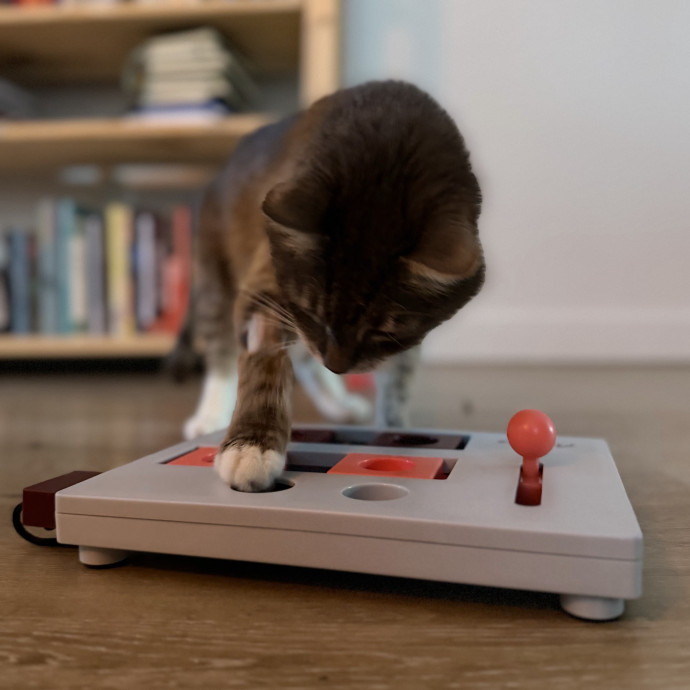 Julie's Purrfessional Cat Care