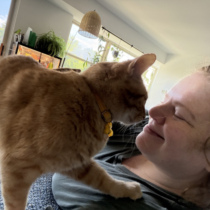 Julie's Purrfessional Cat Care