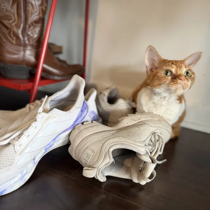 Julie's Purrfessional Cat Care