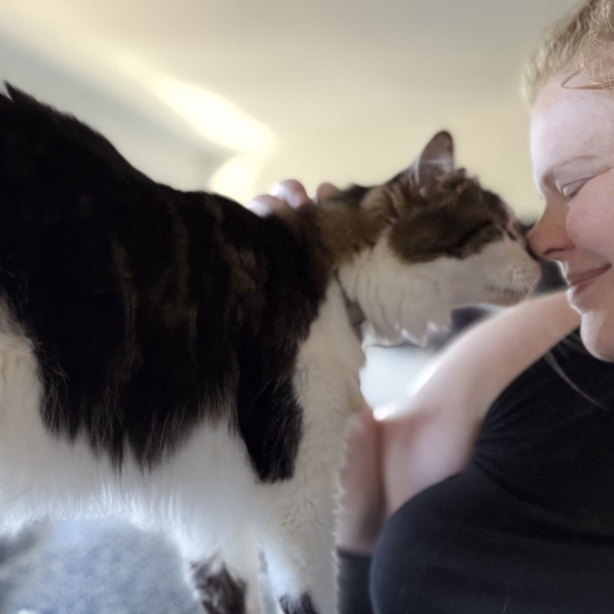 Julie's Purrfessional Cat Care