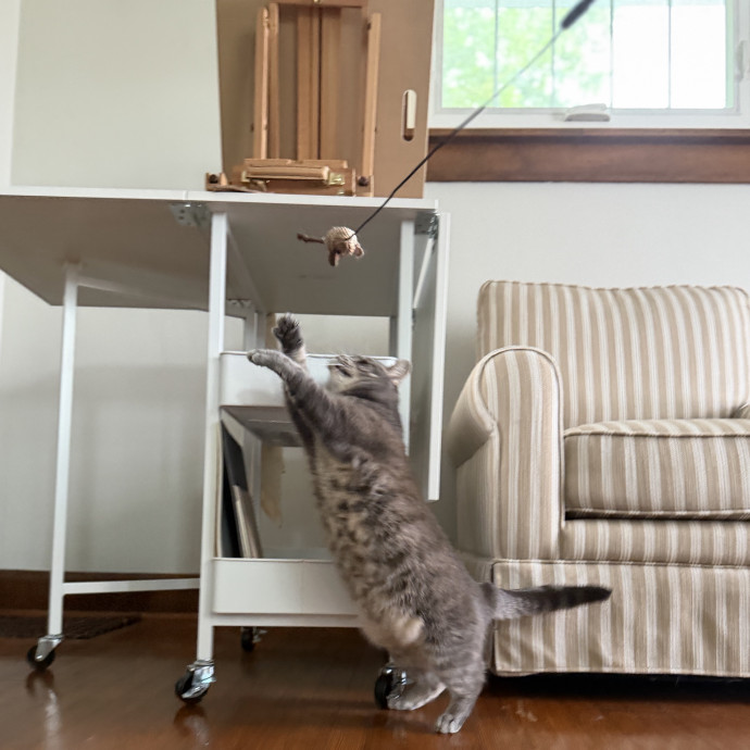 Julie's Purrfessional Cat Care
