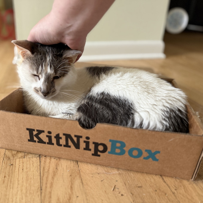 Julie's Purrfessional Cat Care