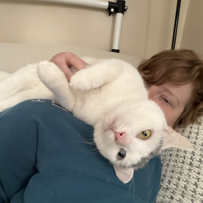 Julie's Purrfessional Cat Care
