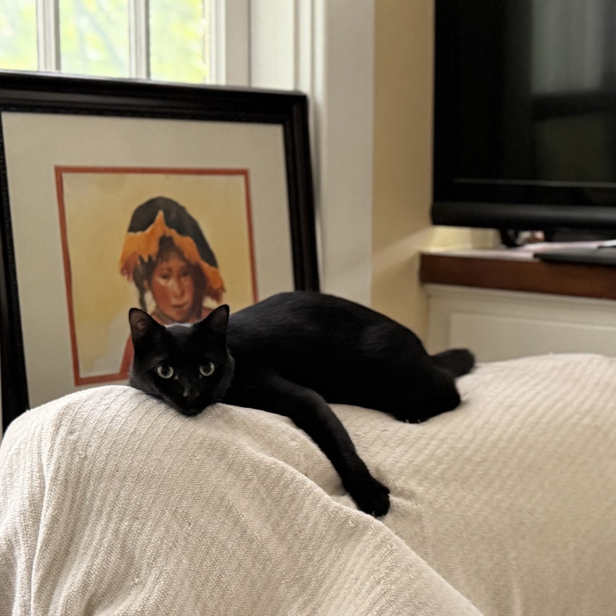 Julie's Purrfessional Cat Care