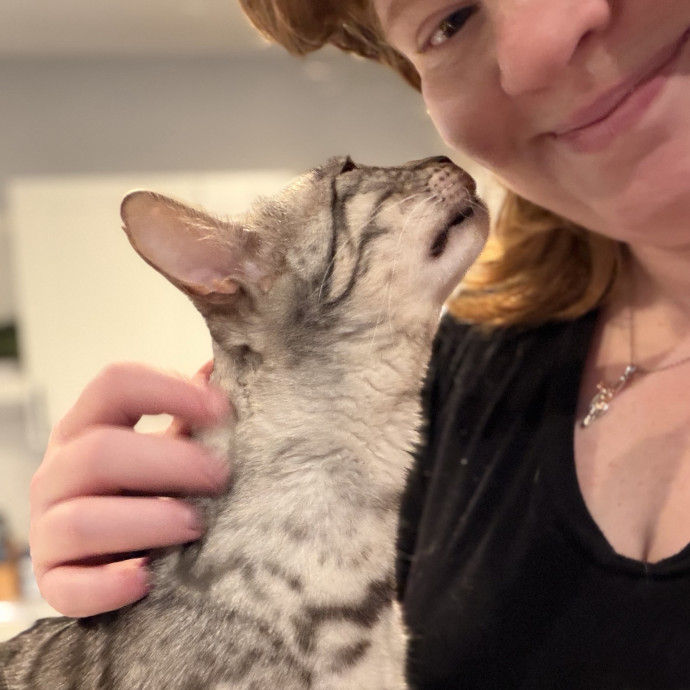 Julie's Purrfessional Cat Care
