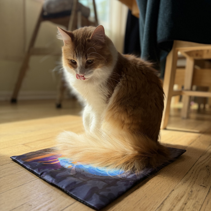 Julie's Purrfessional Cat Care