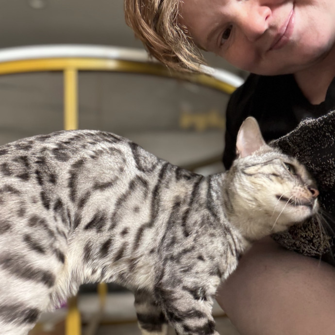 Julie's Purrfessional Cat Care