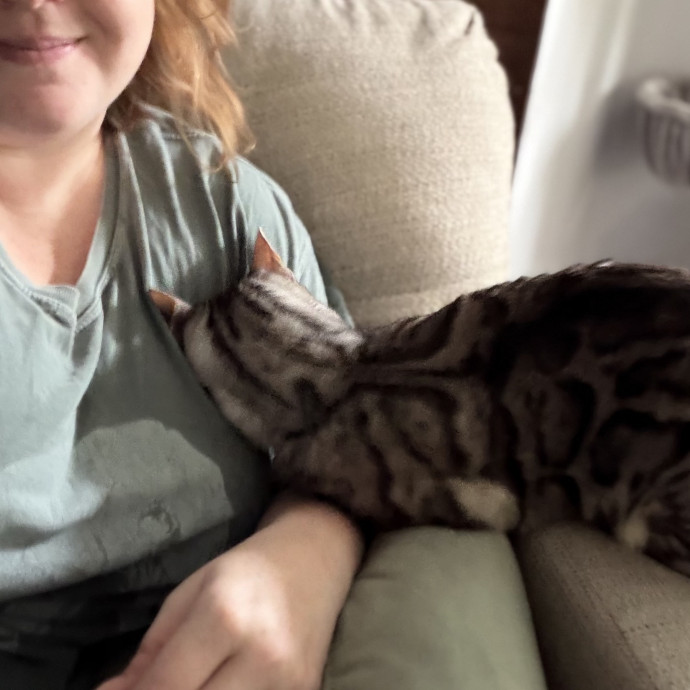 Julie's Purrfessional Cat Care