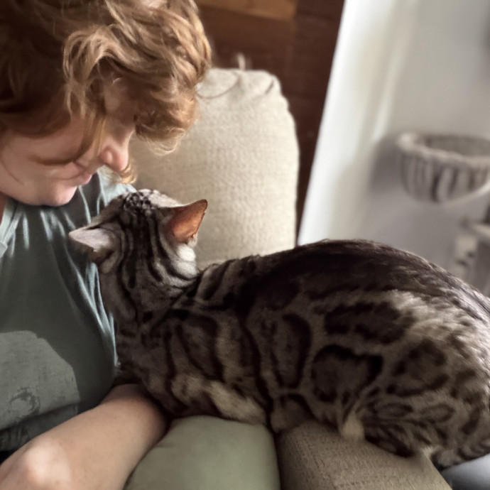 Julie's Purrfessional Cat Care