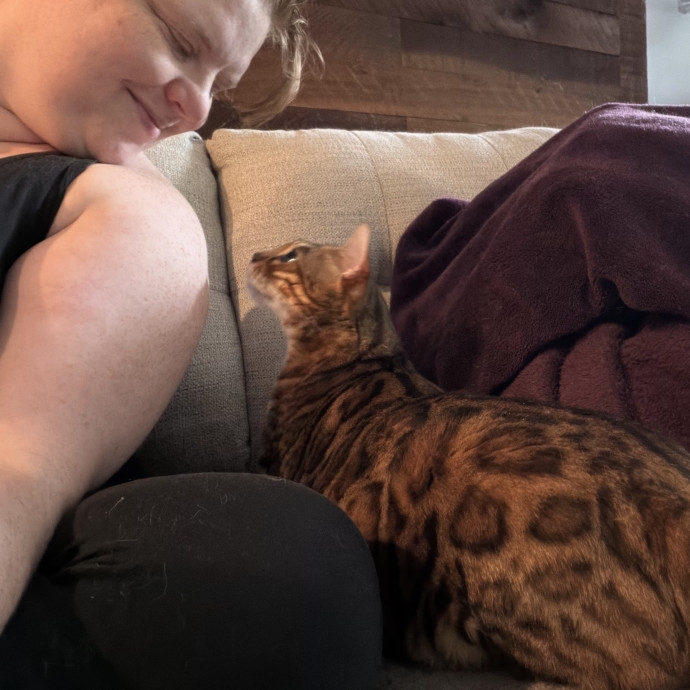 Julie's Purrfessional Cat Care