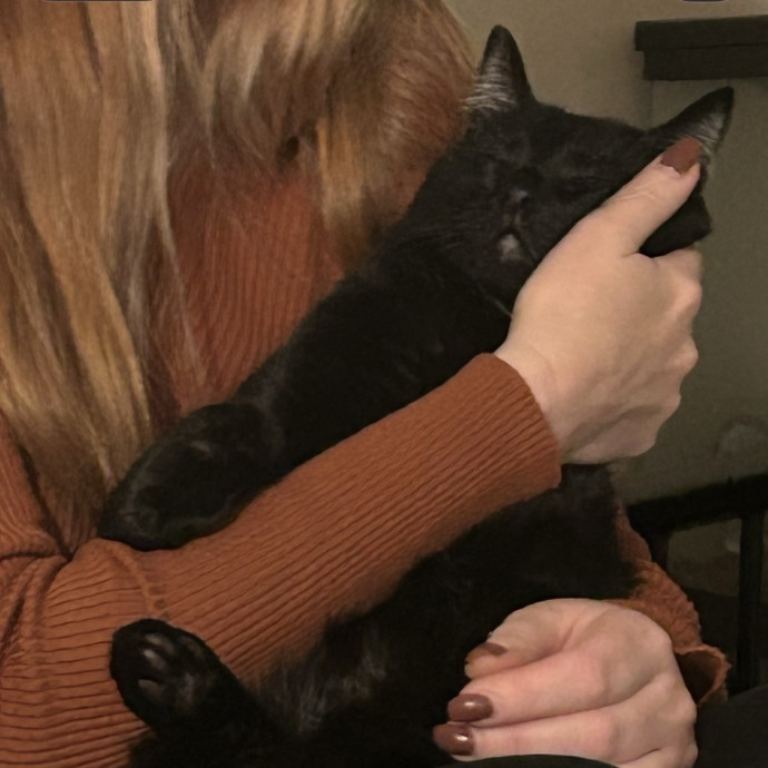 Feline Vet Tech For Your Sitter