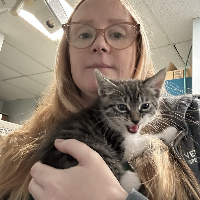 Feline Vet Tech For Your Sitter