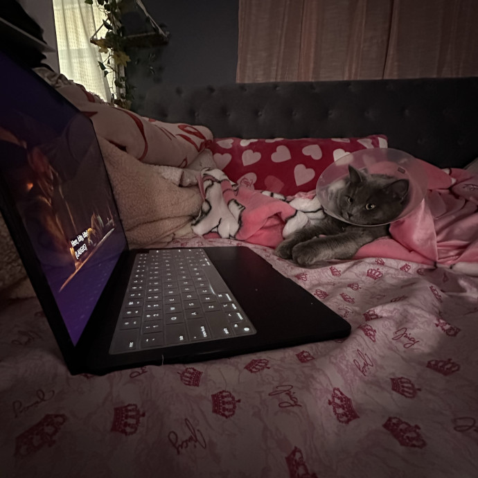 Caring  Reliable Cat Sitter