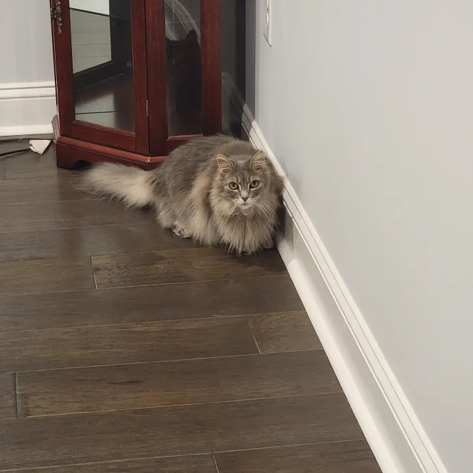 Danielle W.