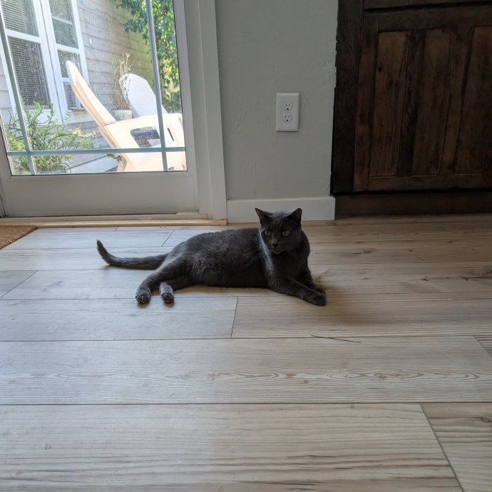 The Cat's Pajamas
