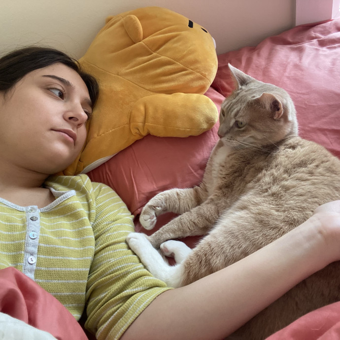 Loving Cat-Sitter For Cats Of All Ages