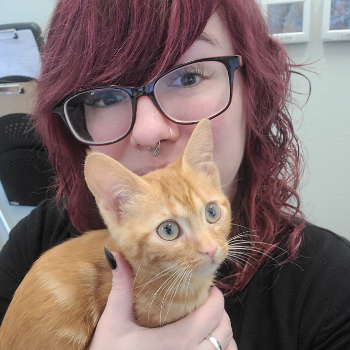 Lifelong Cat Lover Former Cat Cafe Mgr