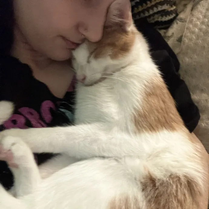 I Am A Lover And Owner Of Cats photo 4
