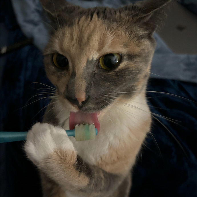Edith