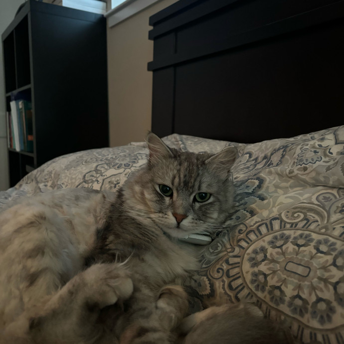 Edith