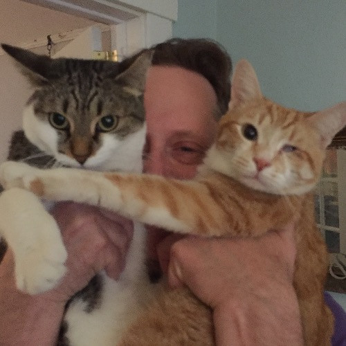 Jazzy Cats - Savannah Cat Sitter - Local Cat Dad