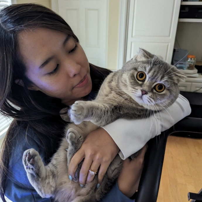 Calm And Attentive Cat Sitter