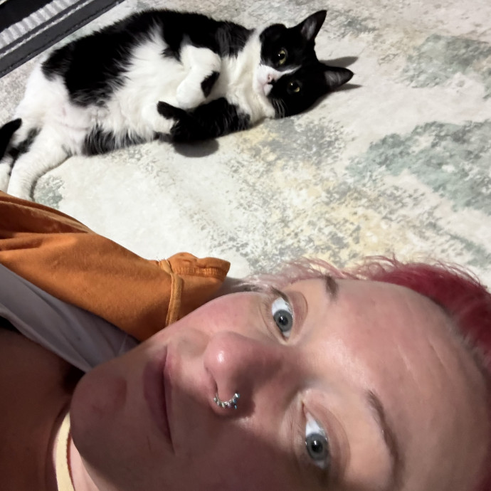 Rn  Cat Lady  Trusted Cat Sitter