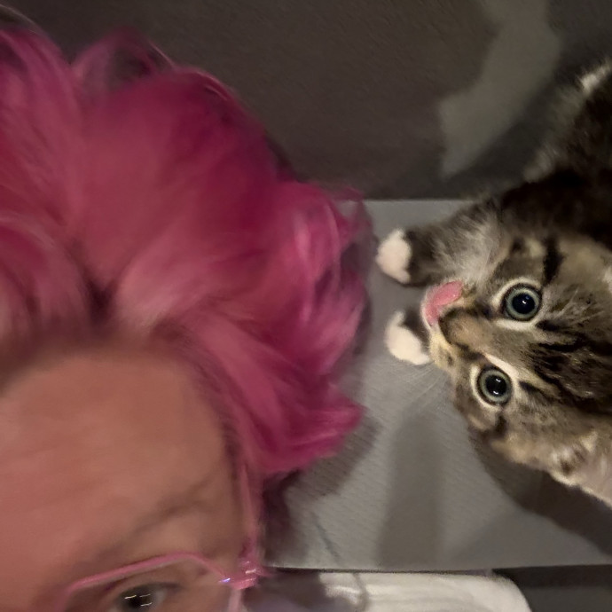 Rn  Cat Lady  Trusted Cat Sitter