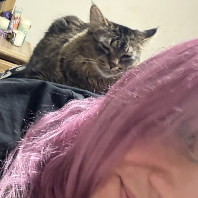 Rn  Cat Lady  Trusted Cat Sitter photo 2