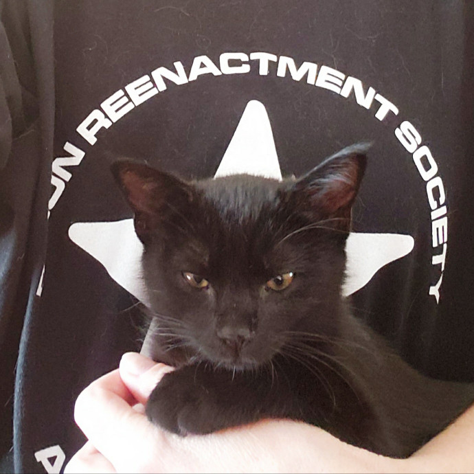 Jenn's Joyful Kitty Care