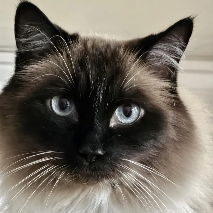 Angela M.