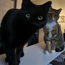 Photo #1 Photo #1