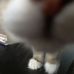 Photo #2