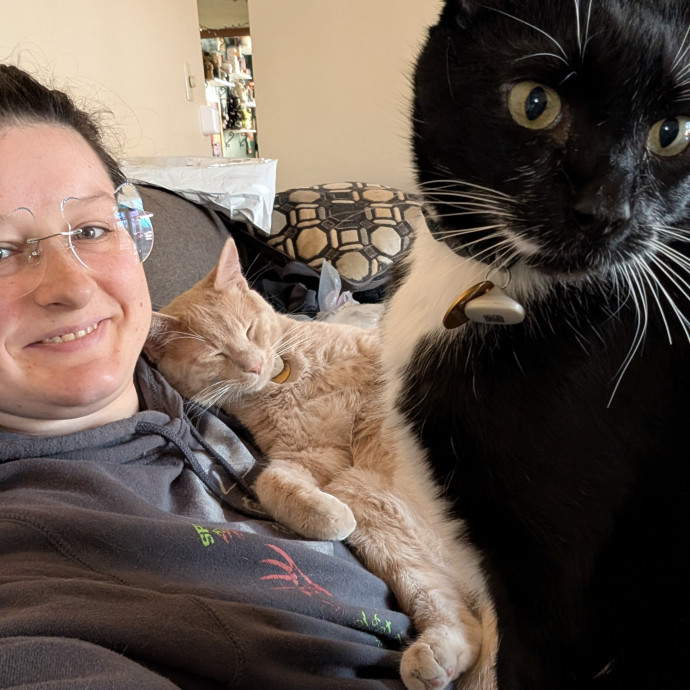 Your Cat's Best Friend While You're Away