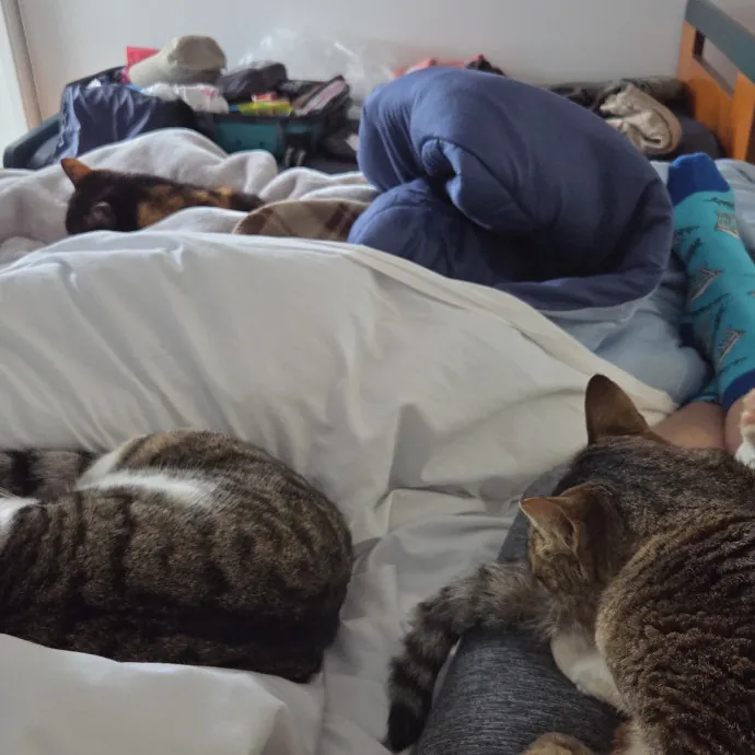 Loving Care For Your Cats