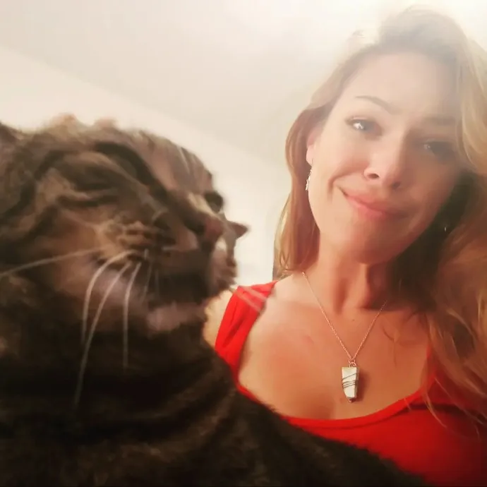 Michelle's Cat Cuddles Of Raleigh photo 3