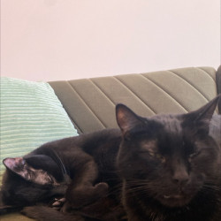 Photo #1 Photo #1