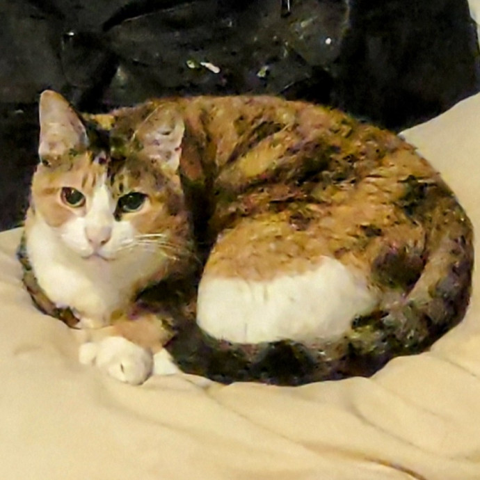 Your Fur-Baby Will Be Loved Like My Own