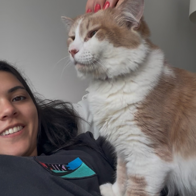 Trusted Care From A Reliable Cat Sitter