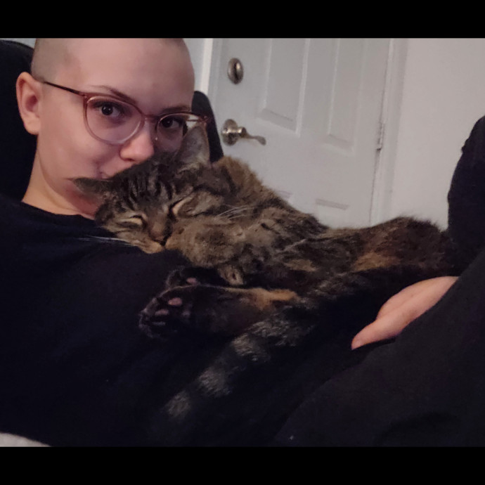 Experienced New Haven Cat Sitter