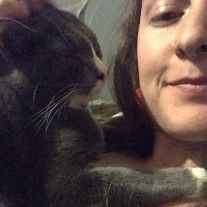 Trustworthy Intown Cat Care