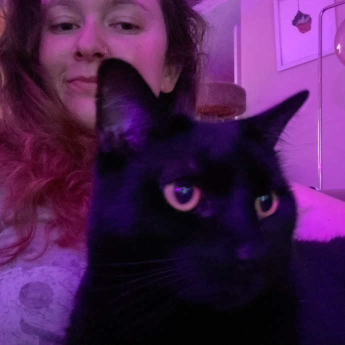 Trustworthy Intown Cat Care