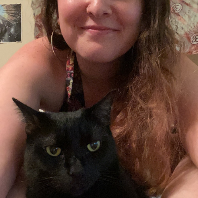 Trustworthy Intown Cat Care