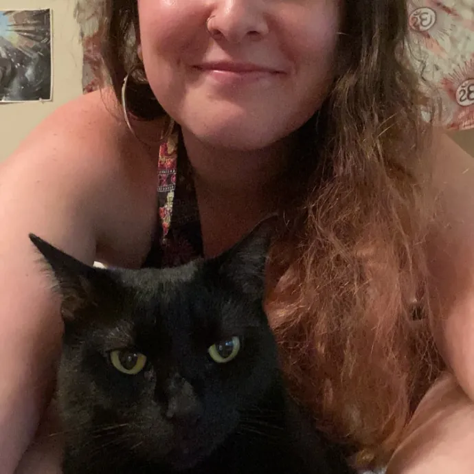 Trustworthy Intown Cat Care