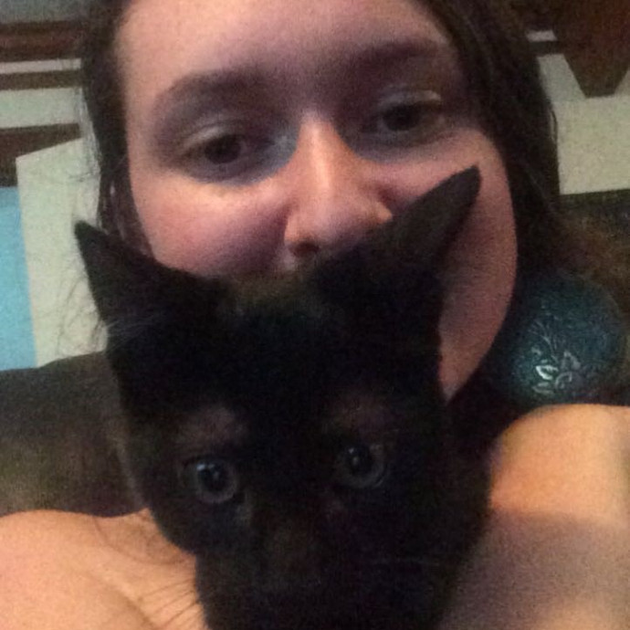 Trustworthy Intown Cat Care
