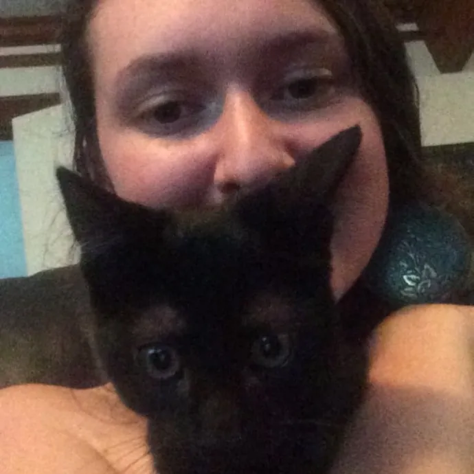 Trustworthy Intown Cat Care