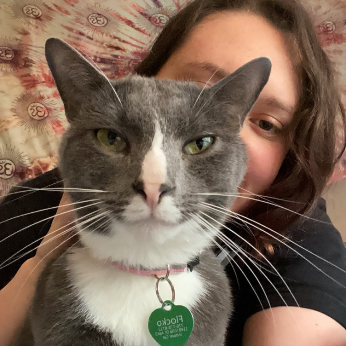 Trustworthy Intown Cat Care